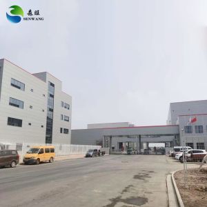 Galvanized Prefabricated Steel Structure with Q355 Q235B Steel Grade