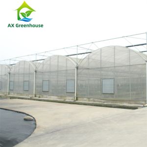 Intelligent Film Serre Invernadero Greenhouse Multispan Tomato Greenhouse