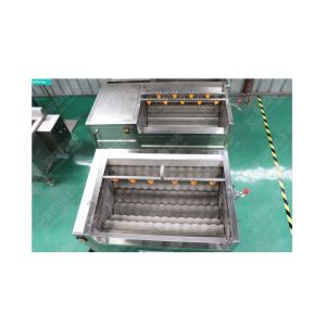 Cheap Price Citrus Waxing And Grading Fruit Washing Drying Cassava Cleaning