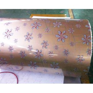 Prepainted PCM Galvanized Steel Plate PPGI / PPGL Metal Galvanized Roll