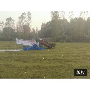 1000m2/h River Water Cleaning Machine Stainless Steel Boat Aquatic Weed