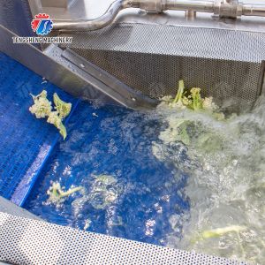 Cleaning processing production Machine Vortex vegetable washing machine red