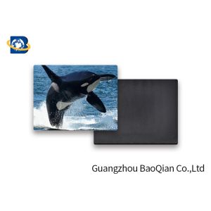 Customized Animal Personalized Fridge Magnets 3D Pictures PET Lenticular