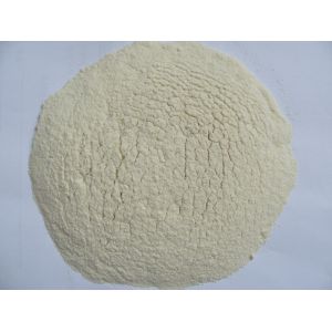 Quality ONION POWDER for sale
