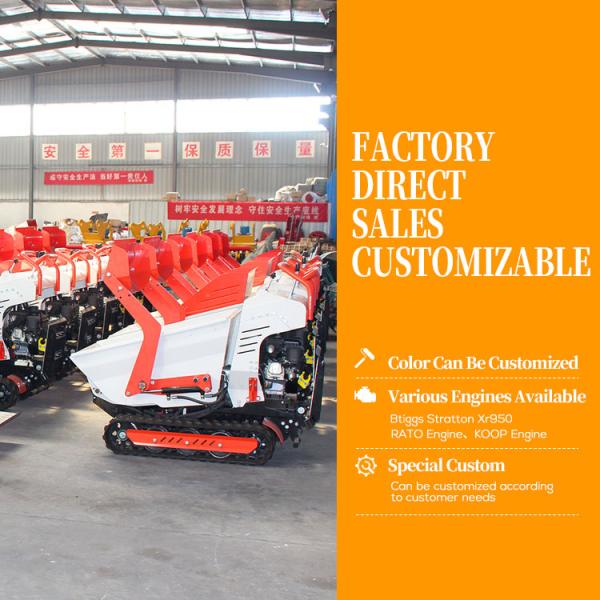 Chinese Manufacture Self Loading Mini Dumper 800kg Tracked Dumpers Small Track Transporter
