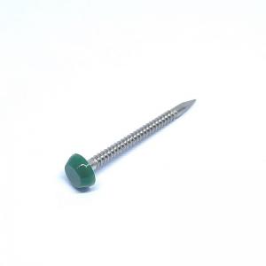 Quality Polished SS316 Plastic Round Cap Roofing Nails With Annular Ring Shank for sale