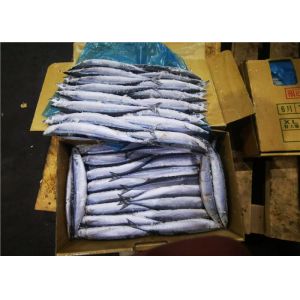 High Protein Frozen Pacific Saury