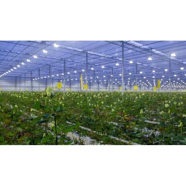 Buy 30-Day Return Illuminated Growing House for Seedlings Illuminated Cultivation Method at wholesale prices