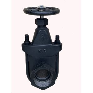 cast iron clip gate valve