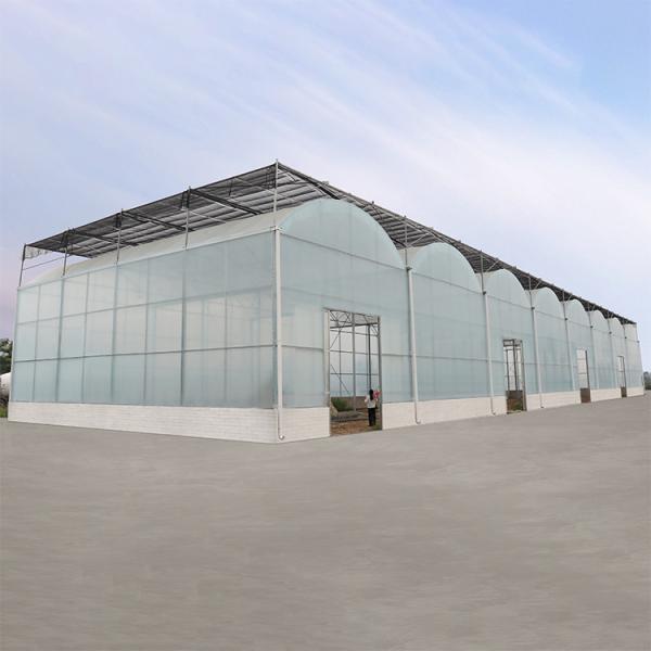 Buy Agriculture Hydroponic System High Tunnel Greenhouse Uv Film Multi Span at wholesale prices
