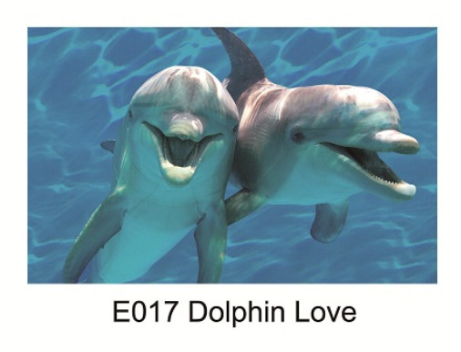 Buy carpet rug floor rug bathroom floor mat at wholesale prices