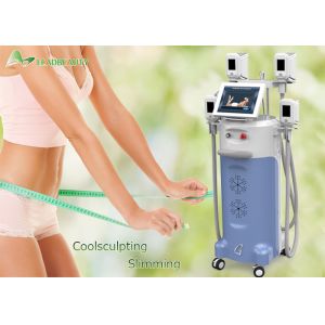 4 cryo handles vacuum freezing fat cryolipolysis machine/cryotherapy machine