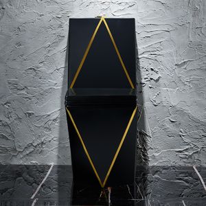 One Piece Washdown Sanitary Ware Toilet Black Gold Graphic Design