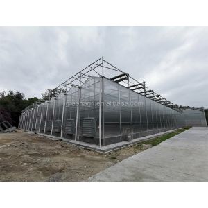 IGreen Polycarbonate Greenhouse Panels for Flowers and Vegetables Customized
