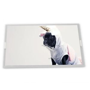 LQ104X2LX05B 10.4 LCD Display Modules TFT Gold supplier Complete range of industrial screens