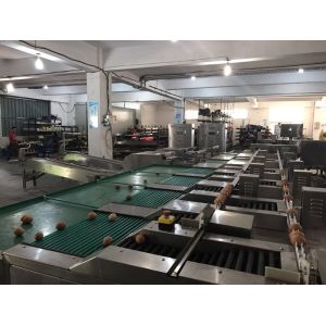 Multiple Nozzle Egg Batch Code Printing Machine With 0 - 5mm Printing Distance