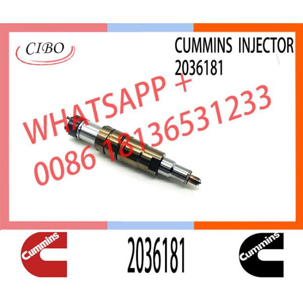 Common Rail Injector Assembly 2036181 2897320 1933613 2030519 2031836 2482244 2488244 4327147 2872056 2872289 2086663