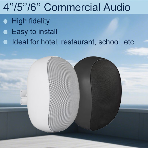 4-inch Waterproof Wall Speaker Commercial Audio 20W/10W/5W/2.5W/8ohm Bluetooth Function Multiple Power Options