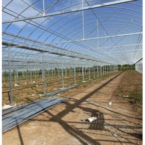 Large Aquaculture Tomato Cucumber Strawberry Hydroponics Greenhouse with High
