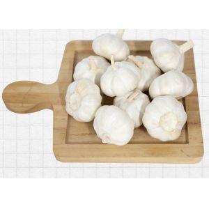 China 10kg Carton 6.5cm Chinese White Garlic on sale