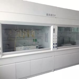 Oem Lab Ventilation Hood Chemistry ISO14001 Chemical Vent Hood