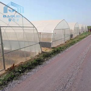 Tropical Gothic High Tunnel Plastic Film Greenhouse For Vegetables Planting