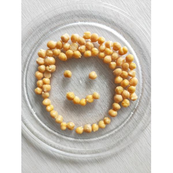 Light Yellow Peas Healthiest Canned Vegetables 240g Weight For Food Factory