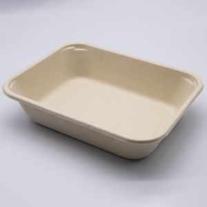 disposable lunch tray compostable sugarcane bassage serving trays