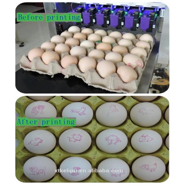 Professional Egg Breeding Machine Date Coding Machine One Year Warranty