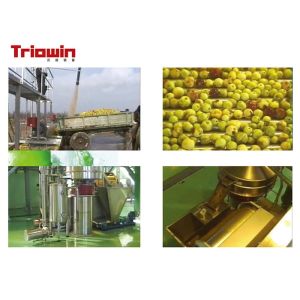 Industrial Fresh Apple Processing Line , Fruit Processing Machine Aseptic Bag