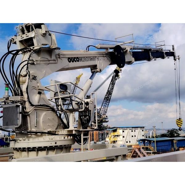 2.5T14M Offshore Drilling Rig Crane