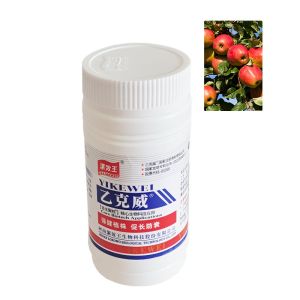 Water Soluble Humic Acid Organic Fertilizer Enhances Disease Resistance Of