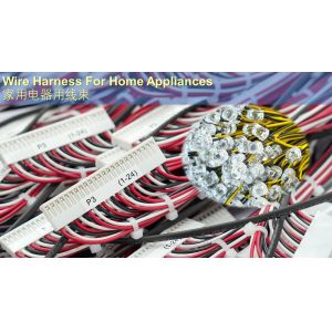 Optek / TT Electrical Wiring Harness OVLLB8C7 OVLLG8C7 Standard LEDs Through