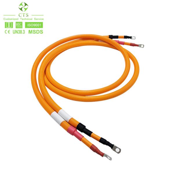 Buy CTS Customized OEM ODM Industrial Automobile Car Wire Harness With Connector For Automobile at wholesale prices