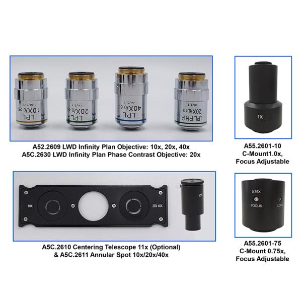 Binocular Wide Field Fluorescence Microscopy A16.2614 40X - 1600X Magnification