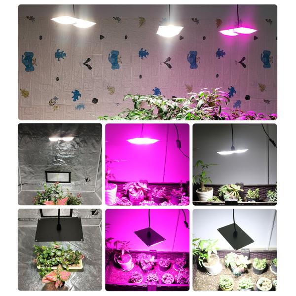 220V 3500K Light Bar Module LED Plant Lamp For Indoor Planth Flowers