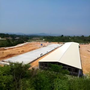 Automatic Poultry Broiler House Steel Structure with Q235/Q355 H Section Steel