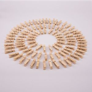 Mini Natural Wooden Craft Clothespins Pegs Clips