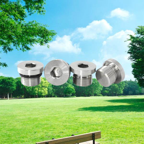 Zinc Coated Pipe Plug for Pipe Systems DIN906 Hexagon Socket Design Made of Stainless Steel and Titanium