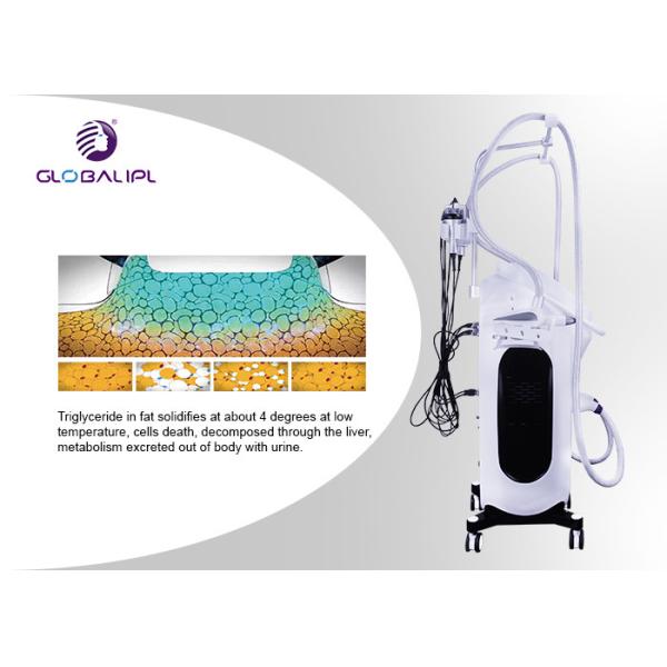 Cryotherapy Fat Reduction Equipment / Body Slimming Machine With Ce Approval