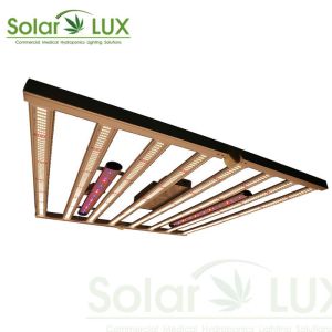 China 660w Gavita Pro 1700e Horticulture Led Grow Lights on sale