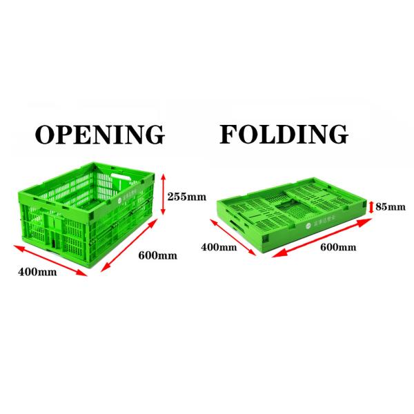 600×400×255 Mm Collapsible Plastic Crate For Fresh Produce – Foldable,
