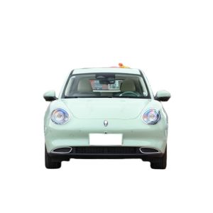 hot-selling 2022 Euler the good cat new energy car Pure electric 143 horsepower