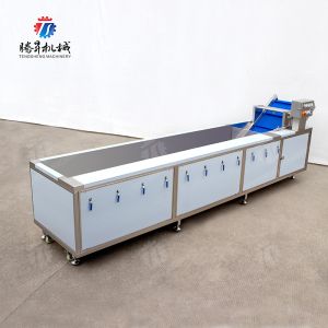 Vegetables Leaves Vegetables Onions Leafy vegetables Cabbage varieties Herbs