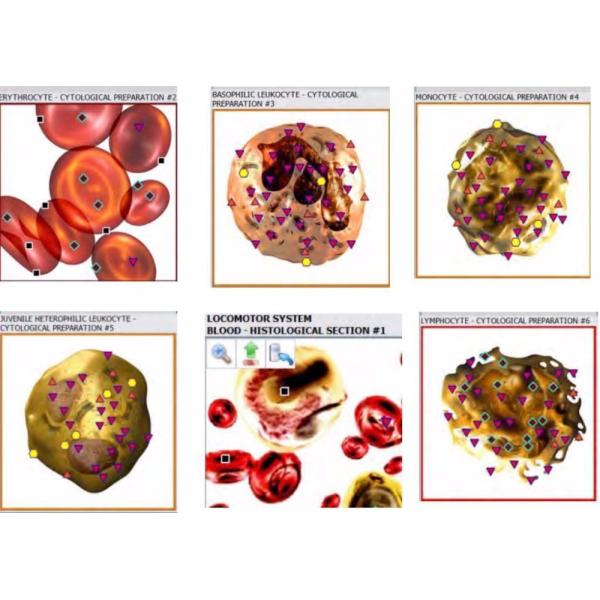 Metatron hunter 4025 with german software