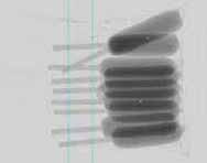 Food X Ray Inspection Machine For Checking Foreign Matters Within Bagged Food