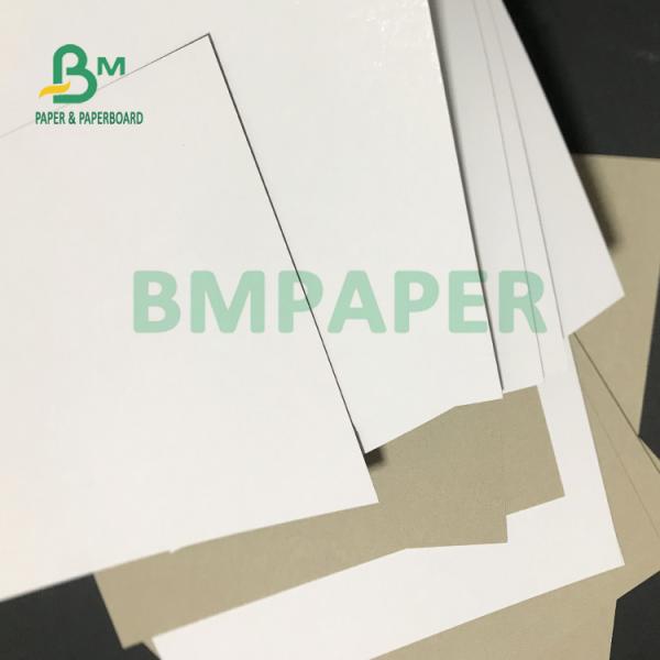 245gsm White Coated Grey Back Duplex Board For Cards Folding Resistance 245gsm White Coated Grey Back Duplex Board For Cards Folding Resistance