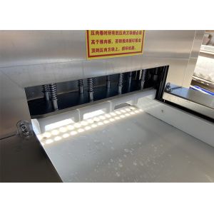 SUS 304 Industrial 2 Roller Meat Slicer Machine 300KG/H