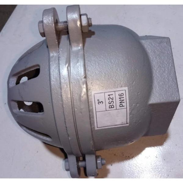 foot valve with material cast iron GG20 BS21 PN16