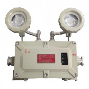 China ATEX CNEX CERoHS ISO9001 Certified Explosion Proof LED Work Light CCT 4500-6500K for Industrial Applications on sale